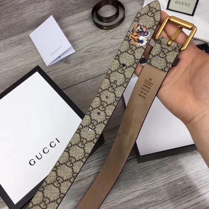 Gucci Canvas Belt