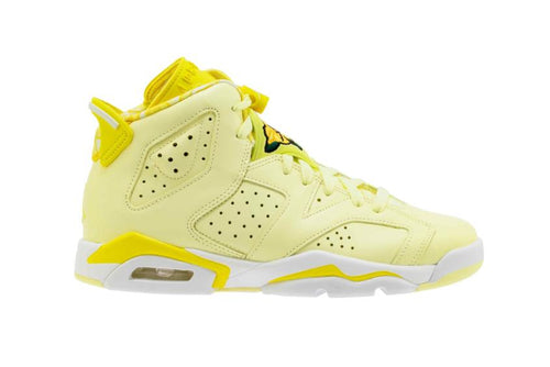Jordan Aj 6“floral”